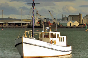 Boating Bay of Plenty