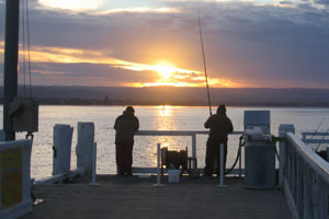 Fishing Bay of Plenty